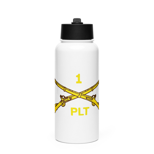1st PLT B Co 1-173IN 18514147 Stainless Steel Water Bottle with a Straw Lid