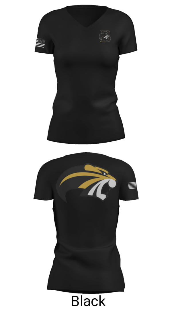 Women's Short Sleeve Vneck Shirt, Brenau University Swimming, Swimming, Teamtime, Team time, sublimation, custom sports apparel, team uniforms, spirit wear, spiritwear, sports uniforms, custom shirts, team store, custom team store, fundraiser sports, apparel fundraiser