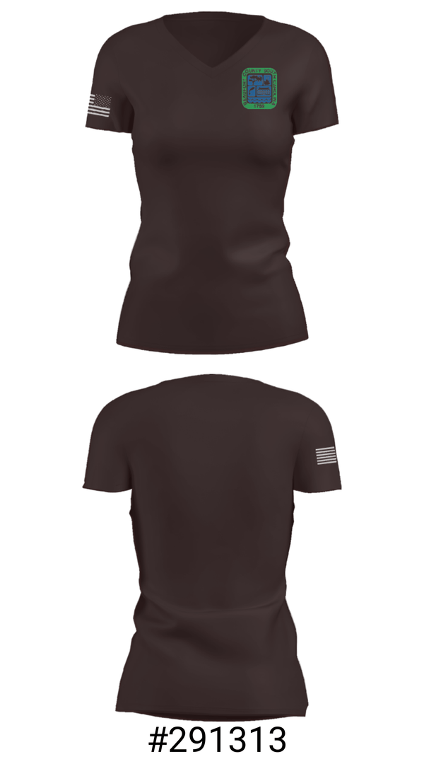 Women's Short Sleeve Vneck Shirt, Beaufort County Fleet Management, , Teamtime, Team time, sublimation, custom sports apparel, team uniforms, spirit wear, spiritwear, sports uniforms, custom shirts, team store, custom team store, fundraiser sports, apparel fundraiser