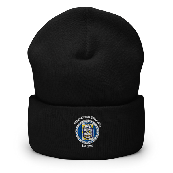 BTFC 7684024 Cuffed Beanie | Yupoong 1501KC