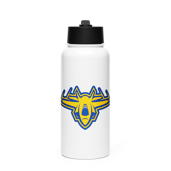 All Flier’d Up Stainless Steel Water Bottle with a Straw Lid