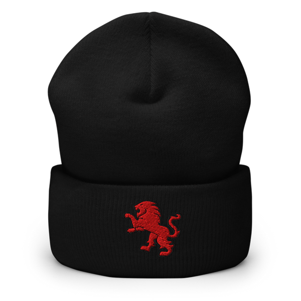 Dulaney Lions Baseball 10641314 Cuffed Beanie | Yupoong 1501KC