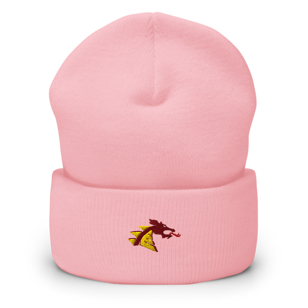 Belle Plaine High School 53594491 Cuffed Beanie | Yupoong 1501KC