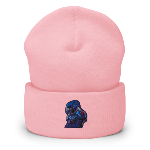 Battlehawks 56996020 Cuffed Beanie | Yupoong 1501KC