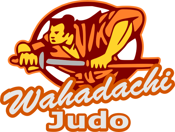 Wahadachi Judo 92846845 Stainless Steel Water Bottle with a Straw Lid