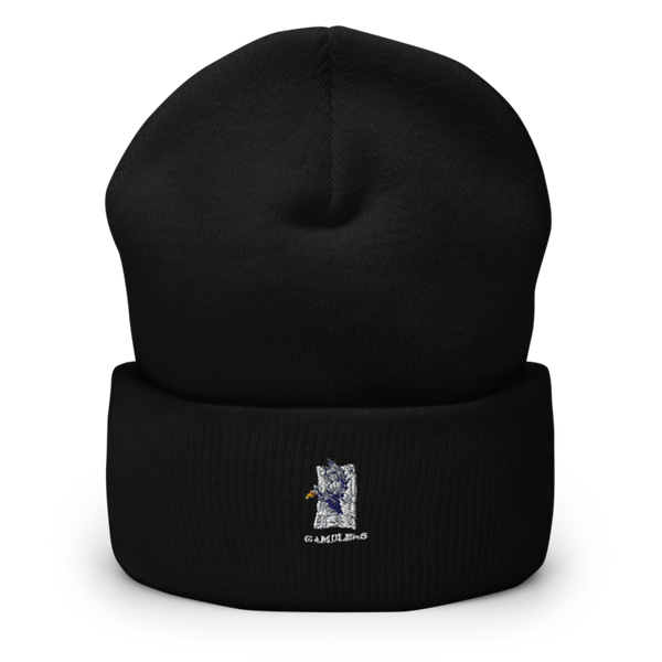 G-Co 38504401 Cuffed Beanie | Yupoong 1501KC