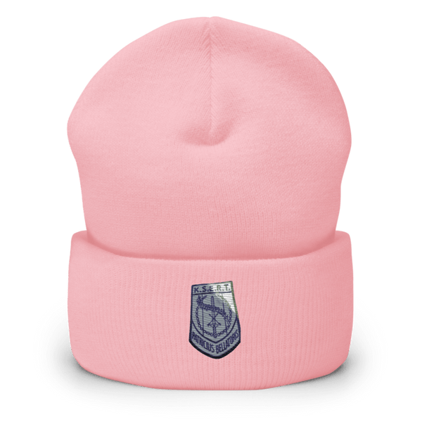 Gator Team 41666299 Cuffed Beanie | Yupoong 1501KC
