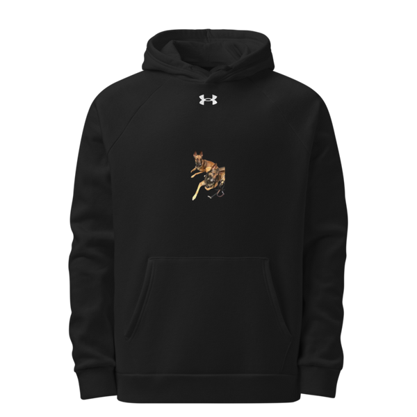 31K 16297588 Under Armour Hoodie