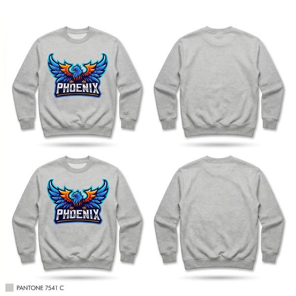 Crew Neck Sweatshirt, Phoenix, Softball, Teamtime, Team time, sublimation, custom sports apparel, team uniforms, spirit wear, spiritwear, sports uniforms, custom shirts, team store, custom team store, fundraiser sports, apparel fundraiser