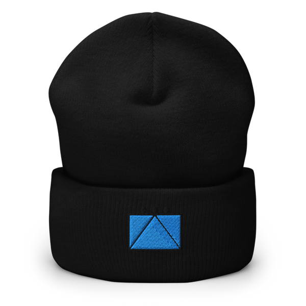 2ND BATTALION 2ND MARINE REGIMENT 94580172 Cuffed Beanie | Yupoong 1501KC