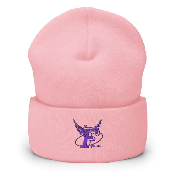 The Charlotte Flights 53419611 Cuffed Beanie | Yupoong 1501KC