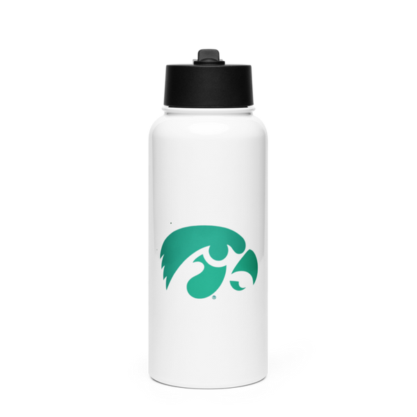 D-R Falcons 66653623 Stainless Steel Water Bottle with a Straw Lid