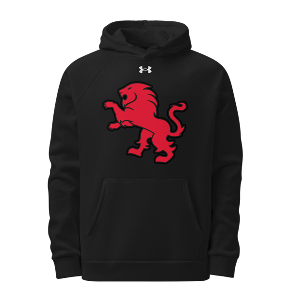 Dulaney Lions Baseball 10641314 Under Armour Hoodie
