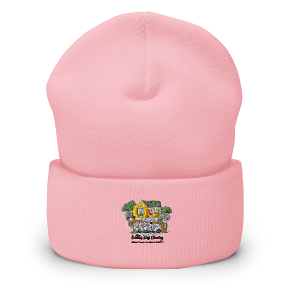Bubbles Bliss Cleaning LLC. 7168825 Cuffed Beanie | Yupoong 1501KC
