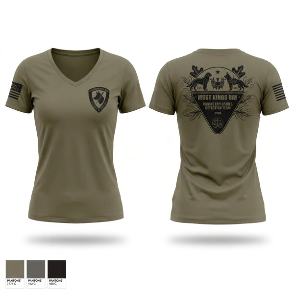 Womens Short Sleeve Vneck Shirt, MSST KINGS BAY, Coast Guard, Teamtime, Team time, sublimation, custom sports apparel, team uniforms, spirit wear, spiritwear, sports uniforms, custom shirts, team store, custom team store, fundraiser sports, apparel fundraiser