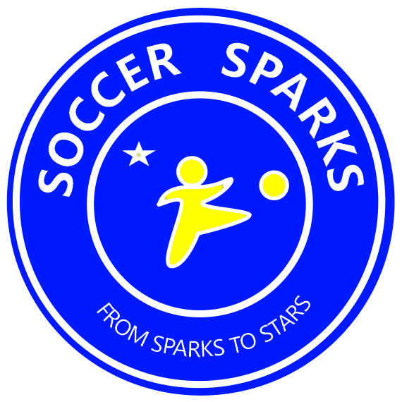 Soccer Sparks 51434344 Stainless Steel Water Bottle with a Straw Lid