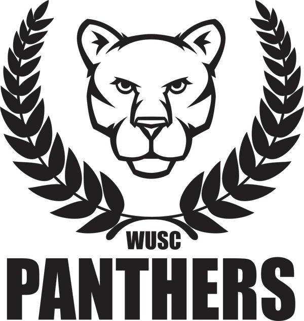 Panthers 50004080 Stainless Steel Water Bottle with a Straw Lid