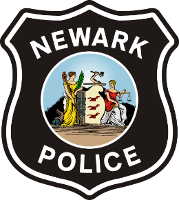4th Precinct 85110542 Stainless Steel Water Bottle with a Straw Lid