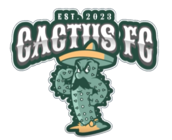 Cactus Fc 14897067 Stainless Steel Water Bottle with a Straw Lid