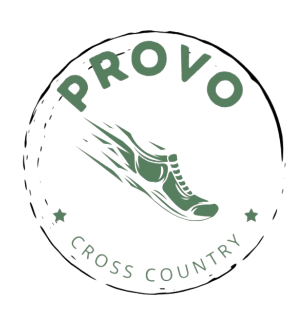Provo 70425817 Stainless Steel Water Bottle with a Straw Lid
