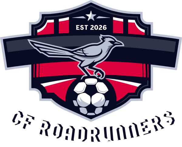 CF Roadrunners Stainless Steel Water Bottle with a Straw Lid