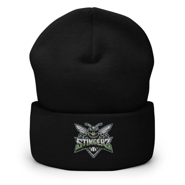 STINGERZ 4730031 Cuffed Beanie | Yupoong 1501KC