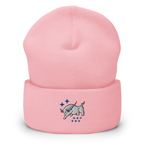 HSC-26 77266694 Cuffed Beanie | Yupoong 1501KC