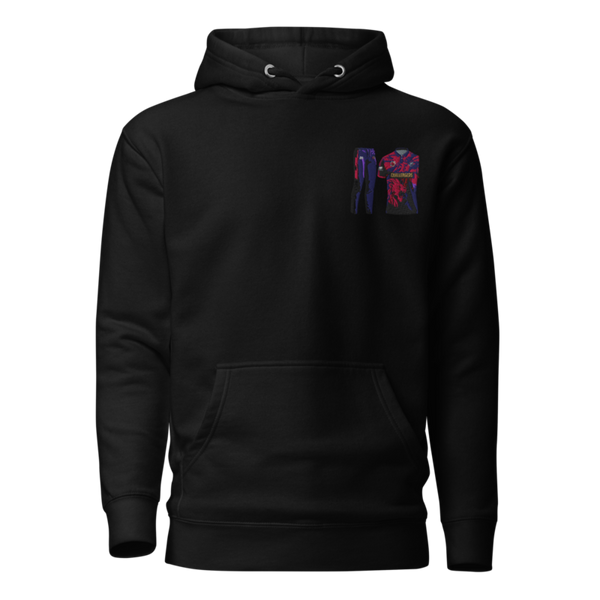 Toyohashi warriors 21080833 Unisex Premium Hoodie | Cotton Heritage M2580