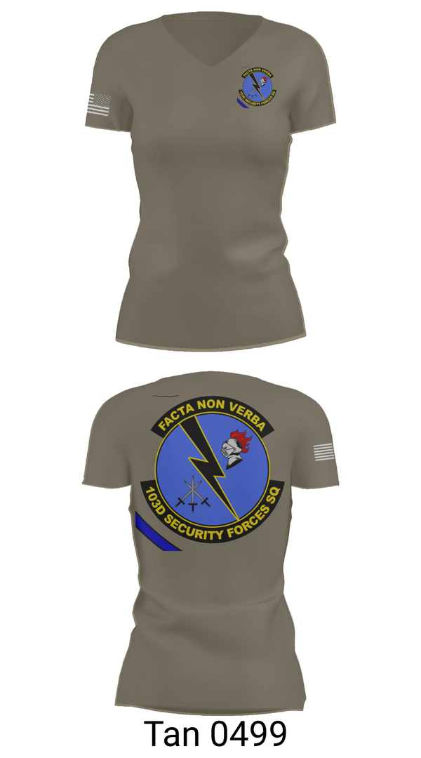 Womens Short Sleeve Vneck Shirt, 103d SECURITY FORCES SQUADRON, , Teamtime, Team time, sublimation, custom sports apparel, team uniforms, spirit wear, spiritwear, sports uniforms, custom shirts, team store, custom team store, fundraiser sports, apparel fundraiser
