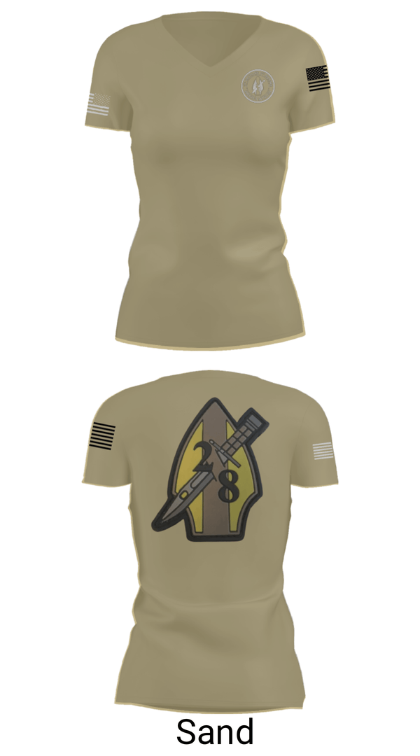 Womens Short Sleeve Vneck Shirt, 2nd bn 8th Marines, Marines, Teamtime, Team time, sublimation, custom sports apparel, team uniforms, spirit wear, spiritwear, sports uniforms, custom shirts, team store, custom team store, fundraiser sports, apparel fundraiser