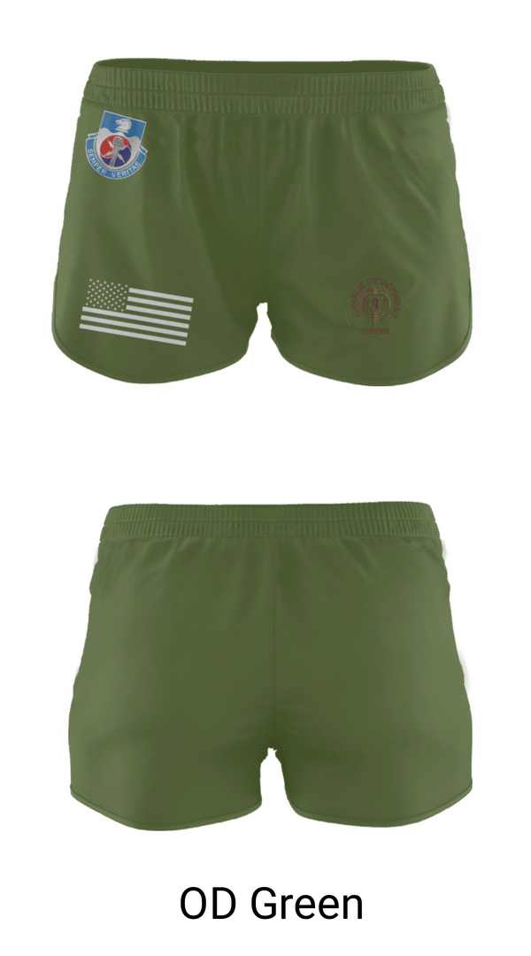 Ranger Panties, 312TH MI BN, CHARLIE DETACHMENT, Army, Teamtime, Team time, sublimation, custom sports apparel, team uniforms, spirit wear, spiritwear, sports uniforms, custom shirts, team store, custom team store, fundraiser sports, apparel fundraiser