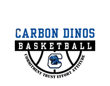 Carbon Boys Basketball Stainless Steel Water Bottle with a Straw Lid