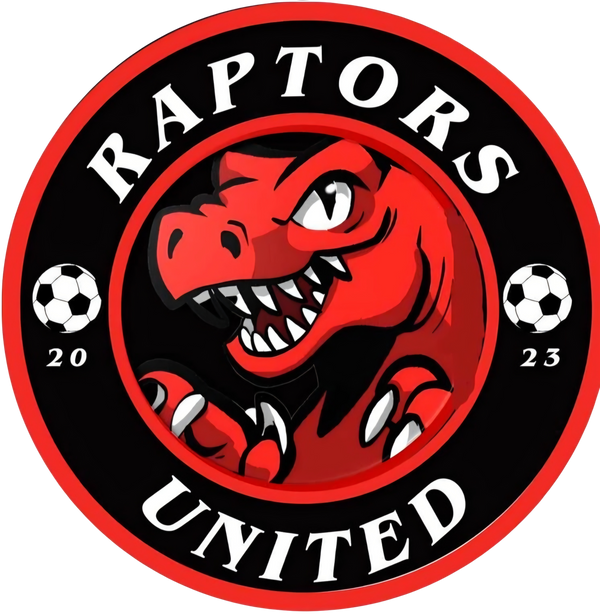 Raptors United 87880820 Stainless Steel Water Bottle with a Straw Lid
