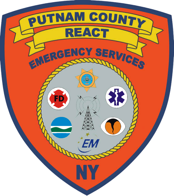 Putnam County REACT 27782020 Stainless Steel Water Bottle with a Straw Lid