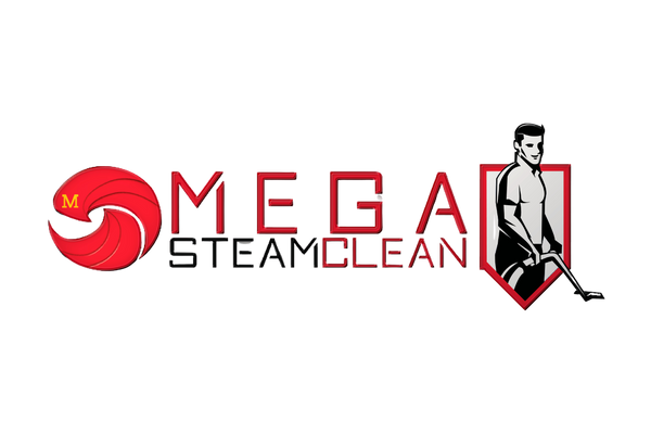 Mega Steam Clean 39304838 Stainless Steel Water Bottle with a Straw Lid