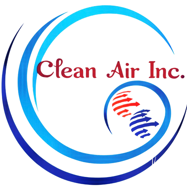 Clean Air inc 67996845 Stainless Steel Water Bottle with a Straw Lid