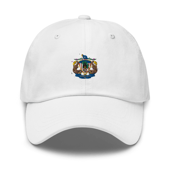 CSG 10 FP D1 87966167 classic hat -