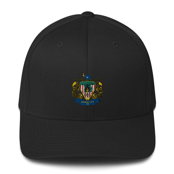 CSG 10 FP D1 87966167 Structured Twill Cap - 1