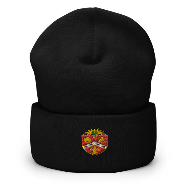 2-3 FA FIST 59815609 Cuffed Beanie -