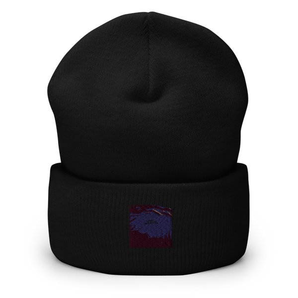 349th FIELD HOSPITAL 14761164 Cuffed Beanie -