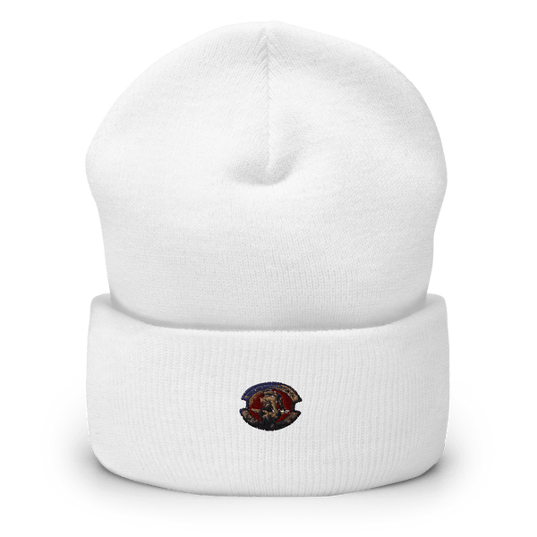 436 SFS DOVER AFB 5343249 Cuffed Beanie -