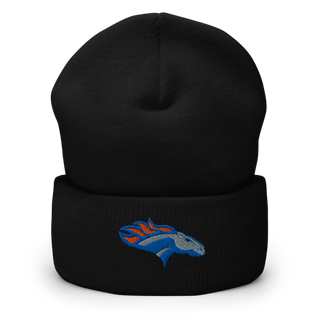 SUNY Orange Golf 10827581 Cuffed Beanie | Yupoong 1501KC