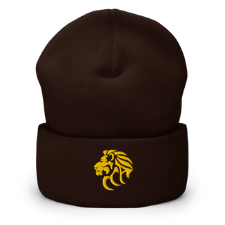 Wichita Lions 53633609 Cuffed Beanie | Yupoong 1501KC