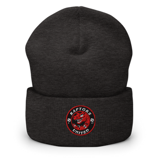 Raptors United 87880820 Cuffed Beanie | Yupoong 1501KC