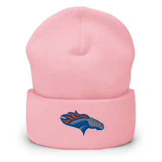 SUNY Orange Golf 10827581 Cuffed Beanie | Yupoong 1501KC