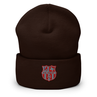 TX HEAT 2370396 Cuffed Beanie | Yupoong 1501KC