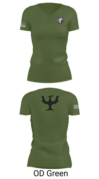 Womens Short Sleeve Vneck Shirt, 340th Psyop Co., , Teamtime, Team time, sublimation, custom sports apparel, team uniforms, spirit wear, spiritwear, sports uniforms, custom shirts, team store, custom team store, fundraiser sports, apparel fundraiser