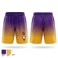 Swansea lady tigers 11342591 Mens Reversible Basketball Shorts - 1