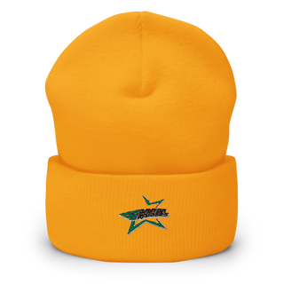 T&A Express LLC 81291487 Cuffed Beanie | Yupoong 1501KC