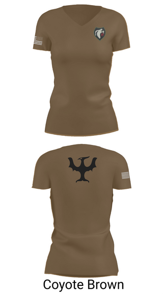 Womens Short Sleeve Vneck Shirt, 340th Psyop Co., , Teamtime, Team time, sublimation, custom sports apparel, team uniforms, spirit wear, spiritwear, sports uniforms, custom shirts, team store, custom team store, fundraiser sports, apparel fundraiser